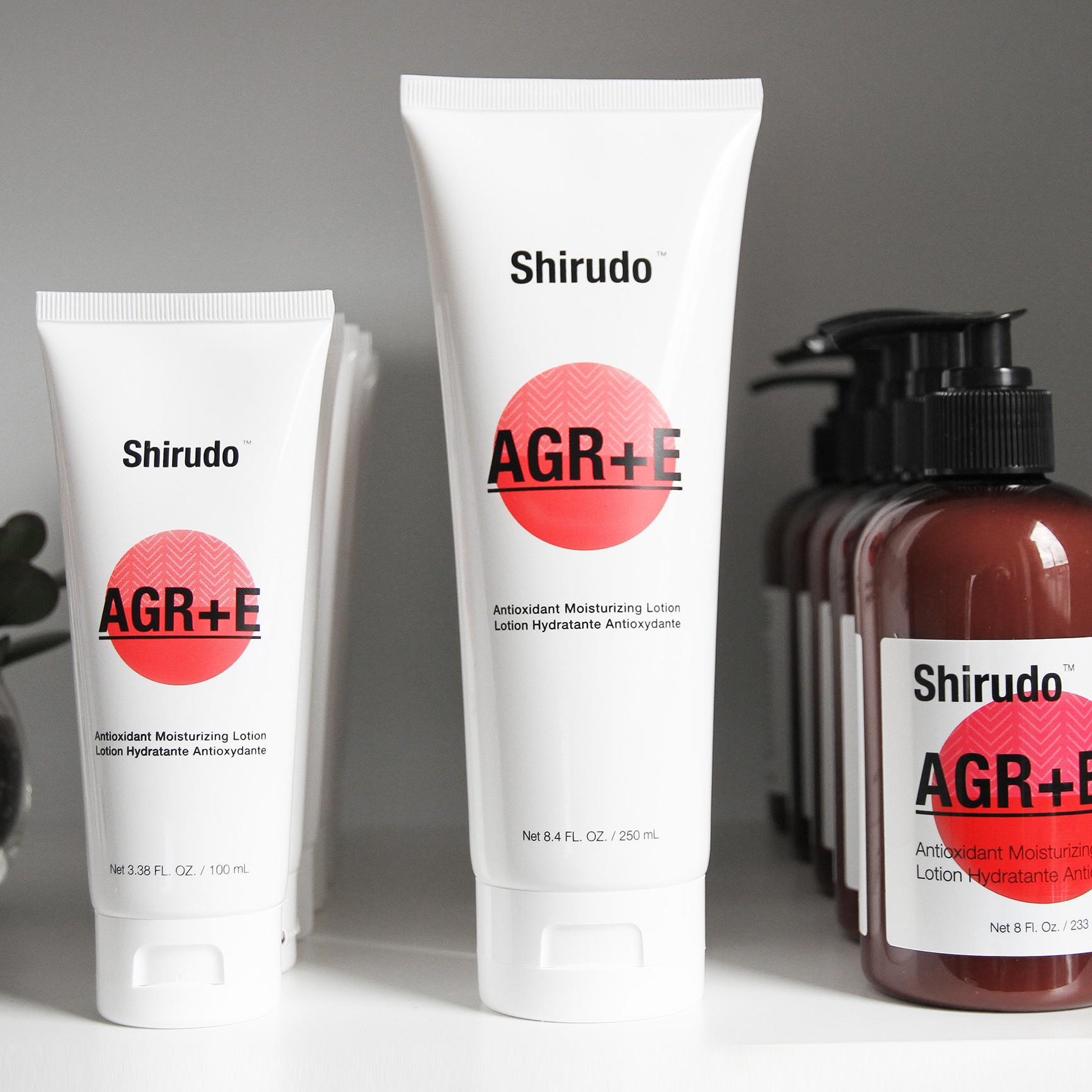 Shirudo